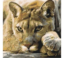 Картина по номерам "Хижачка" КНО2485