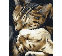 Картина за номерами: Сплячі котики 40*50