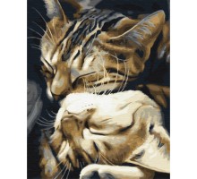 Картина за номерами: Сплячі котики 40*50