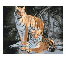 Картина за номерами: Дикі тигри 40*50