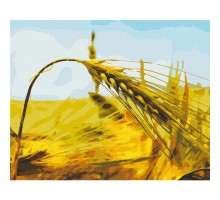 Картина за номерами: Житній колос 40*50